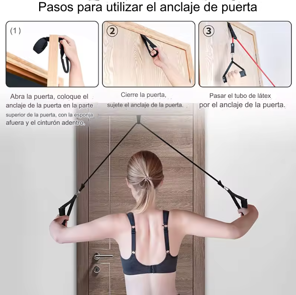 Bandas de Musculación FlexiTone Bands